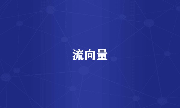 流向量