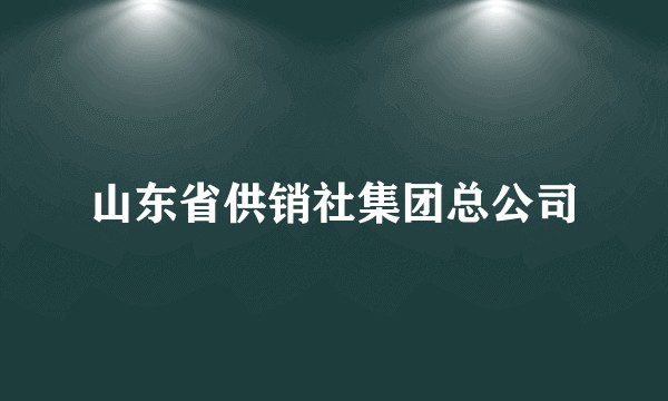 山东省供销社集团总公司