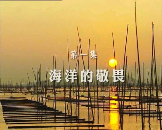 守望（大型生态纪录片）