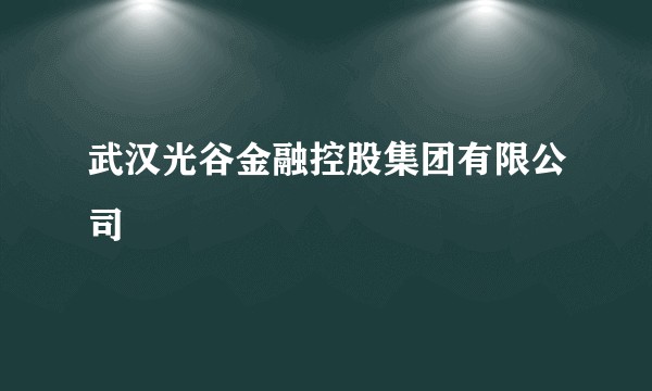 武汉光谷金融控股集团有限公司