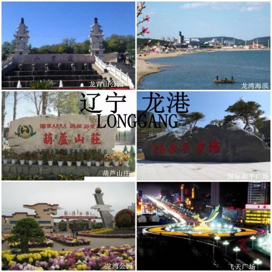 龙港区