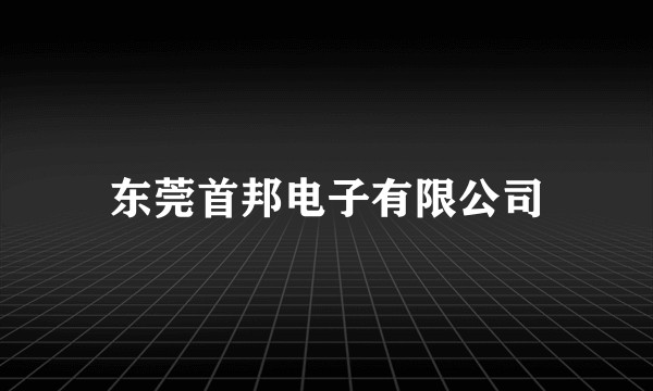 东莞首邦电子有限公司