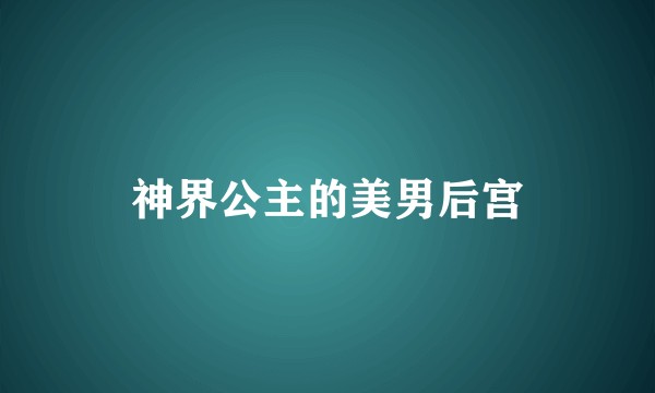 神界公主的美男后宫