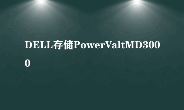 DELL存储PowerValtMD3000