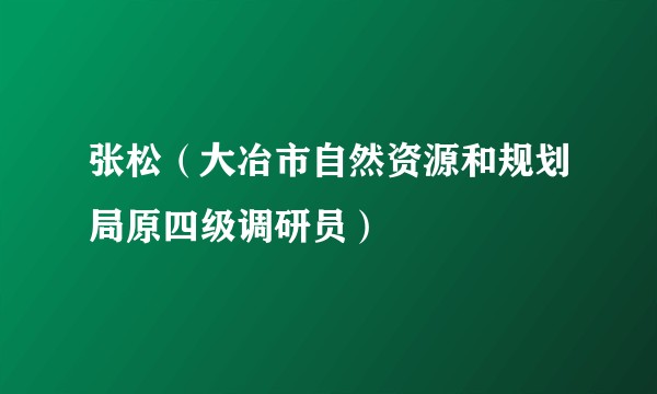 张松（大冶市自然资源和规划局原四级调研员）