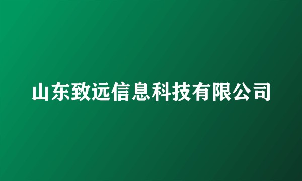 山东致远信息科技有限公司