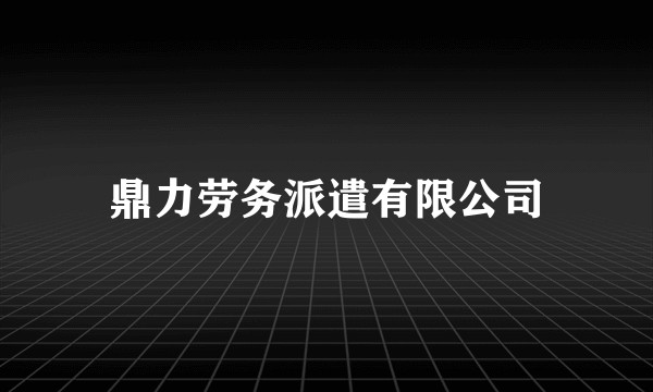 鼎力劳务派遣有限公司