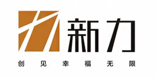 新力地产集团有限公司