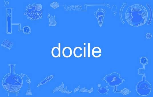docile