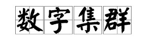 数字集群