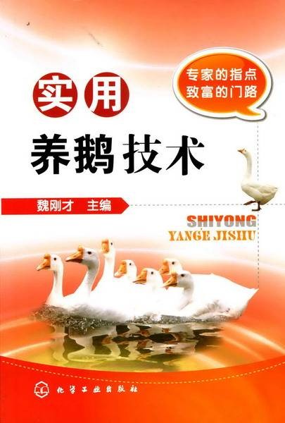 实用养鹅技术（2009年1月化学工业出版社出版的图书）