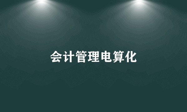 会计管理电算化