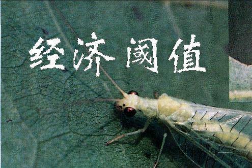 经济阈值