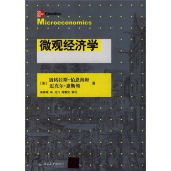 微观经济学（2010年北京大学出版社出版的图书）