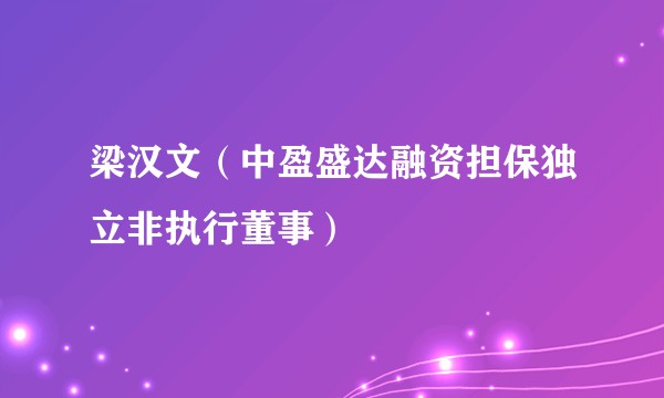 梁汉文（中盈盛达融资担保独立非执行董事）