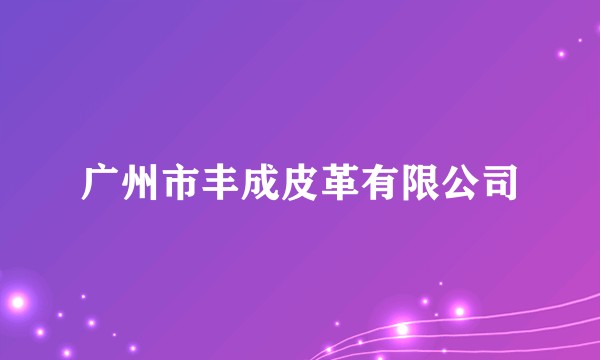广州市丰成皮革有限公司
