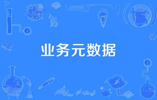 业务元数据