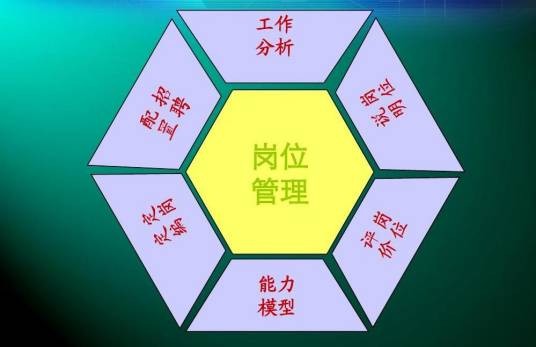 岗位管理(管理领域术语)