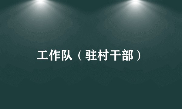 工作队（驻村干部）