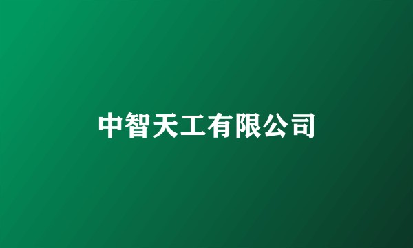 中智天工有限公司