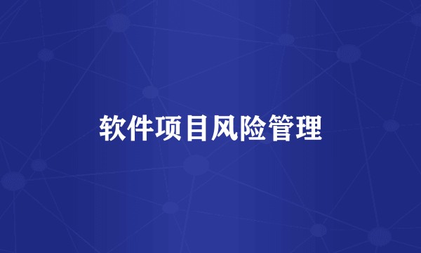 软件项目风险管理