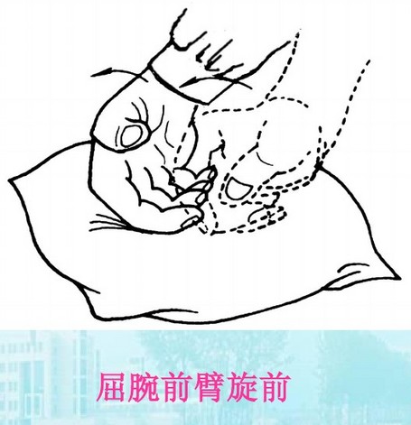 滚法推拿疗法