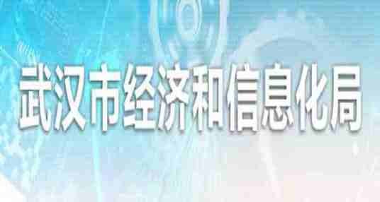 武汉市经济和信息化局