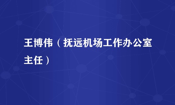 王博伟（抚远机场工作办公室主任）
