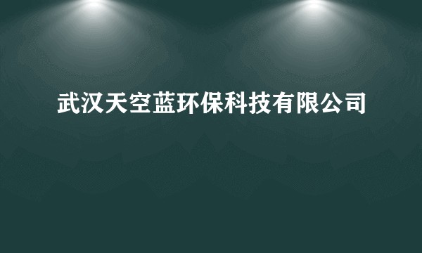 武汉天空蓝环保科技有限公司