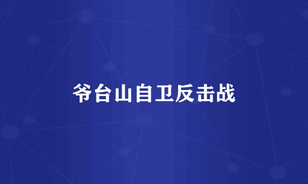 爷台山自卫反击战