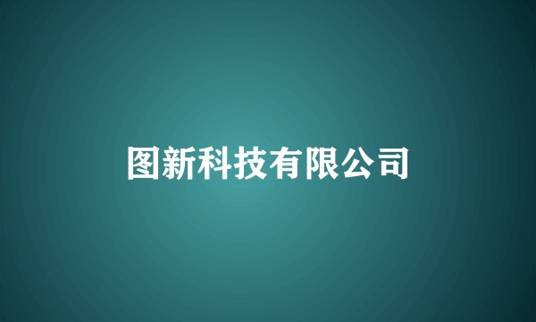 图新科技有限公司