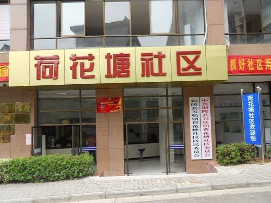 荷花塘社区（安徽省义安区五松镇下辖社区）