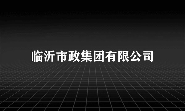 临沂市政集团有限公司