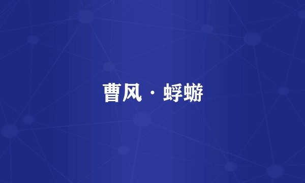 曹风·蜉蝣