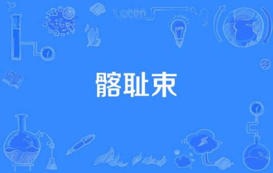 髂耻束