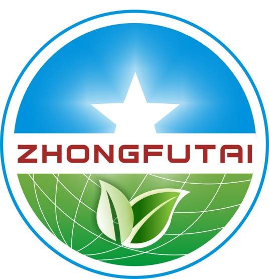 中福泰集团