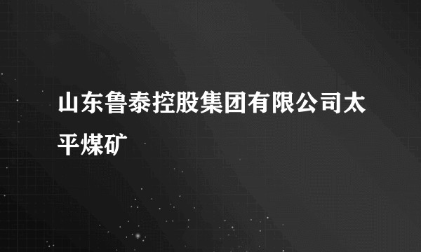 山东鲁泰控股集团有限公司太平煤矿