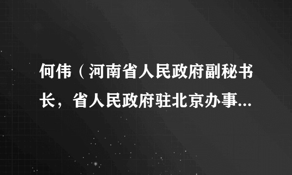 何伟（河南省人民政府副秘书长，省人民政府驻北京办事处党组书记、主任）