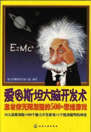 爱因斯坦大脑开发术