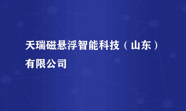 天瑞磁悬浮智能科技（山东）有限公司