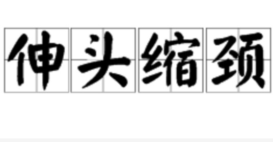 伸头缩颈