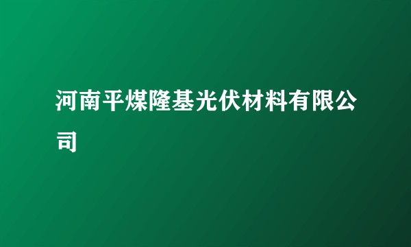 河南平煤隆基光伏材料有限公司