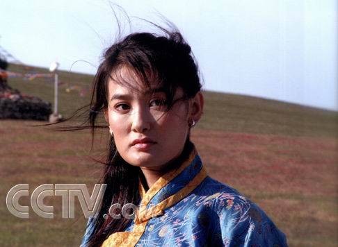 美丽的草原我的家(2004年顾晶执导电视剧)