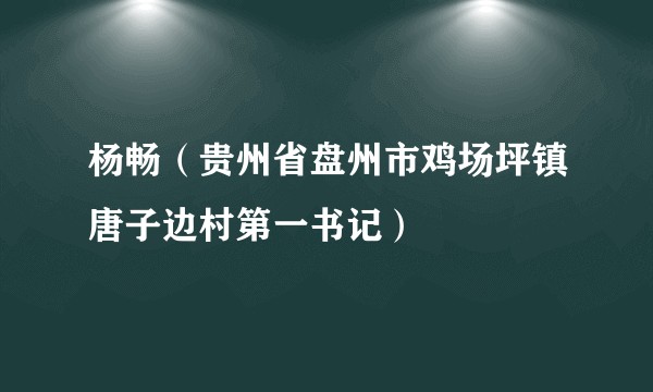 杨畅（贵州省盘州市鸡场坪镇唐子边村第一书记）