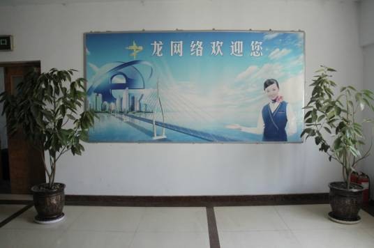 中龙网络