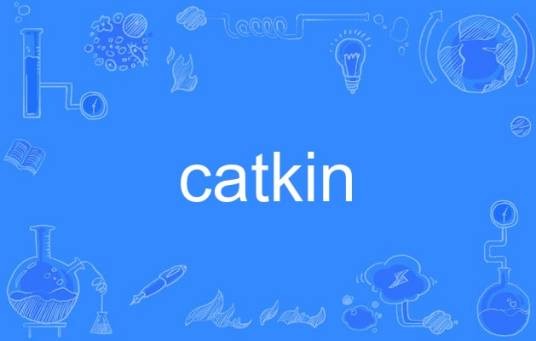 catkin