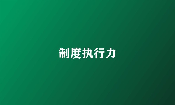 制度执行力