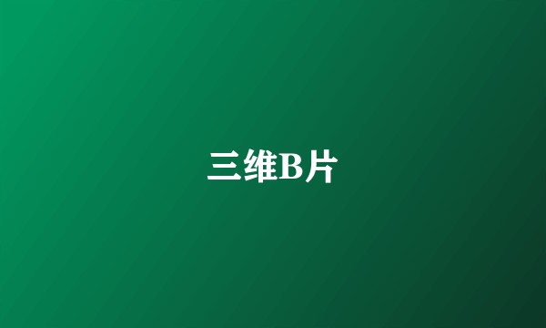 三维B片
