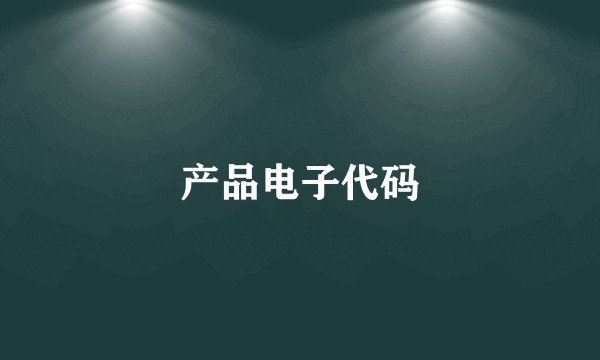 产品电子代码