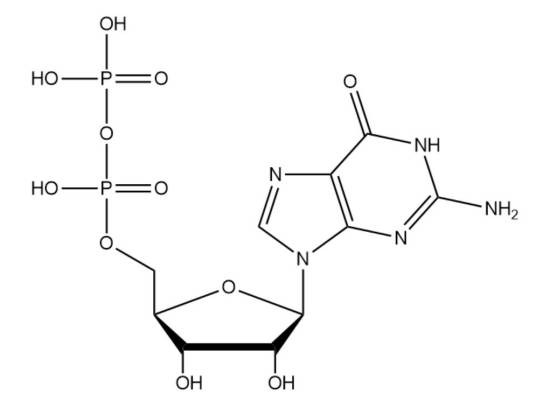 二磷酸鸟苷